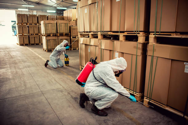 Best Pest Control Near Me  in Caoncito, NM