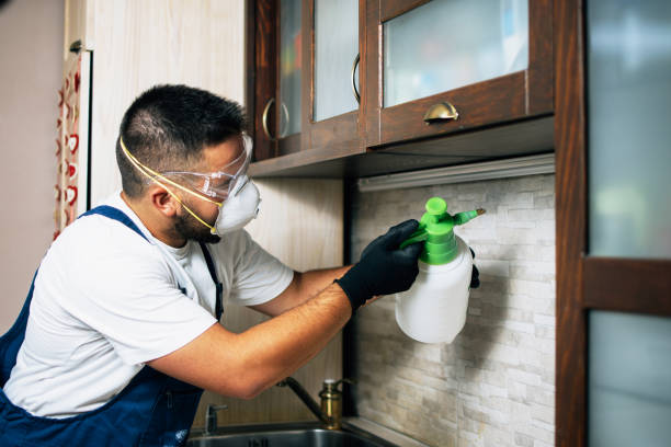 Trusted Caoncito, NM Pest Control Experts