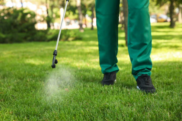 Best Best Pest Control Near Me  in Caoncito, NM