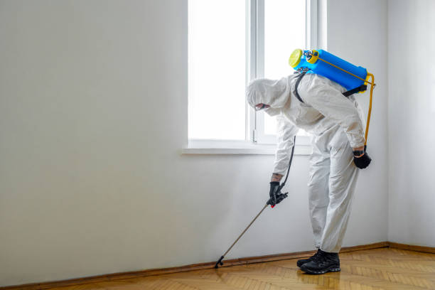 Best Cockroach Control Services  in Caoncito, NM