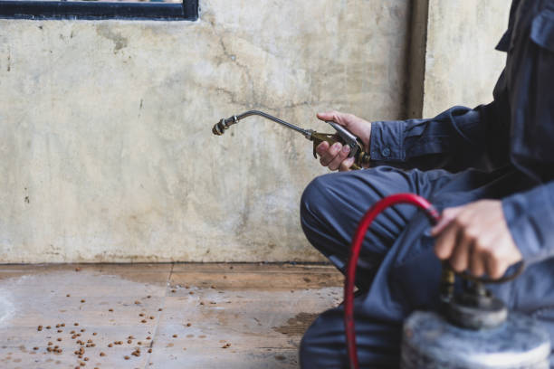 Pest Prevention Services in Caoncito, NM